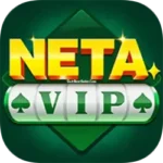 Neta Vip Download APK & Get ₹491